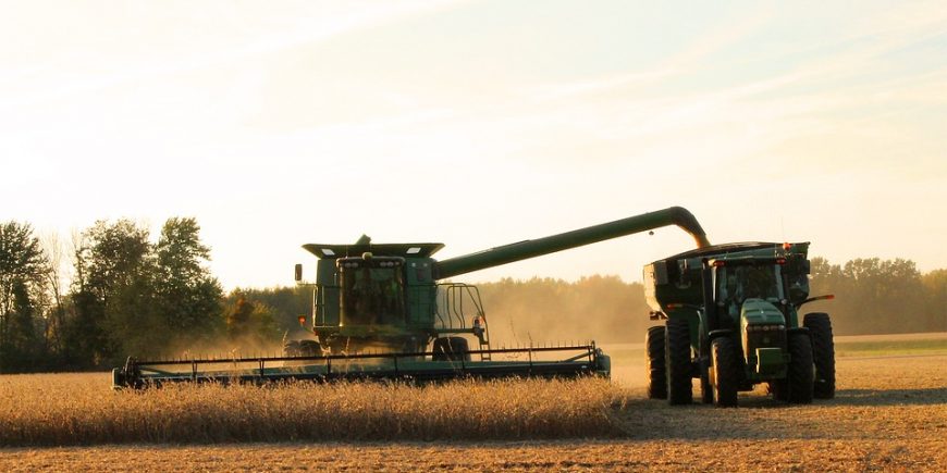 Curso Técnico em Agronegócio abre inscrições.